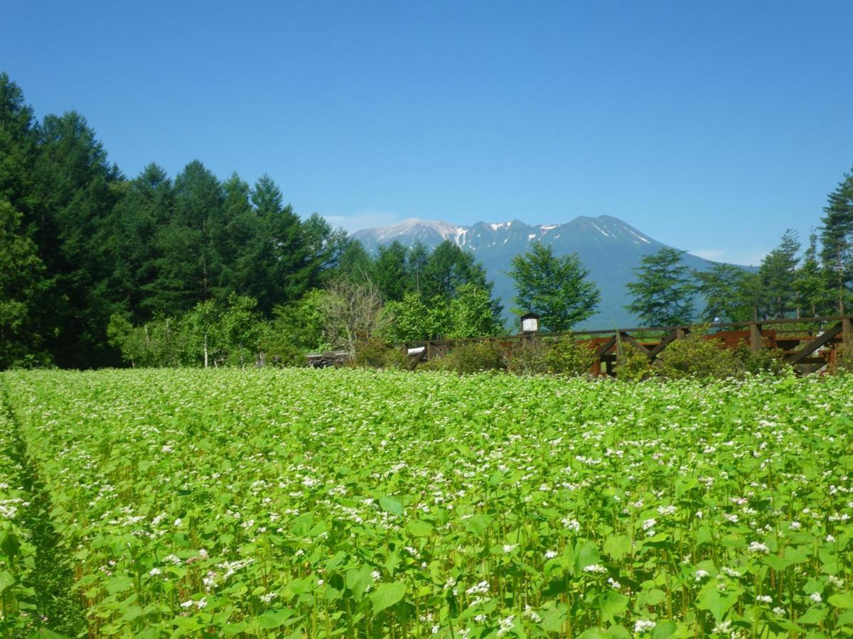 安宿茑屋日式旅馆 木曾町 外观 照片