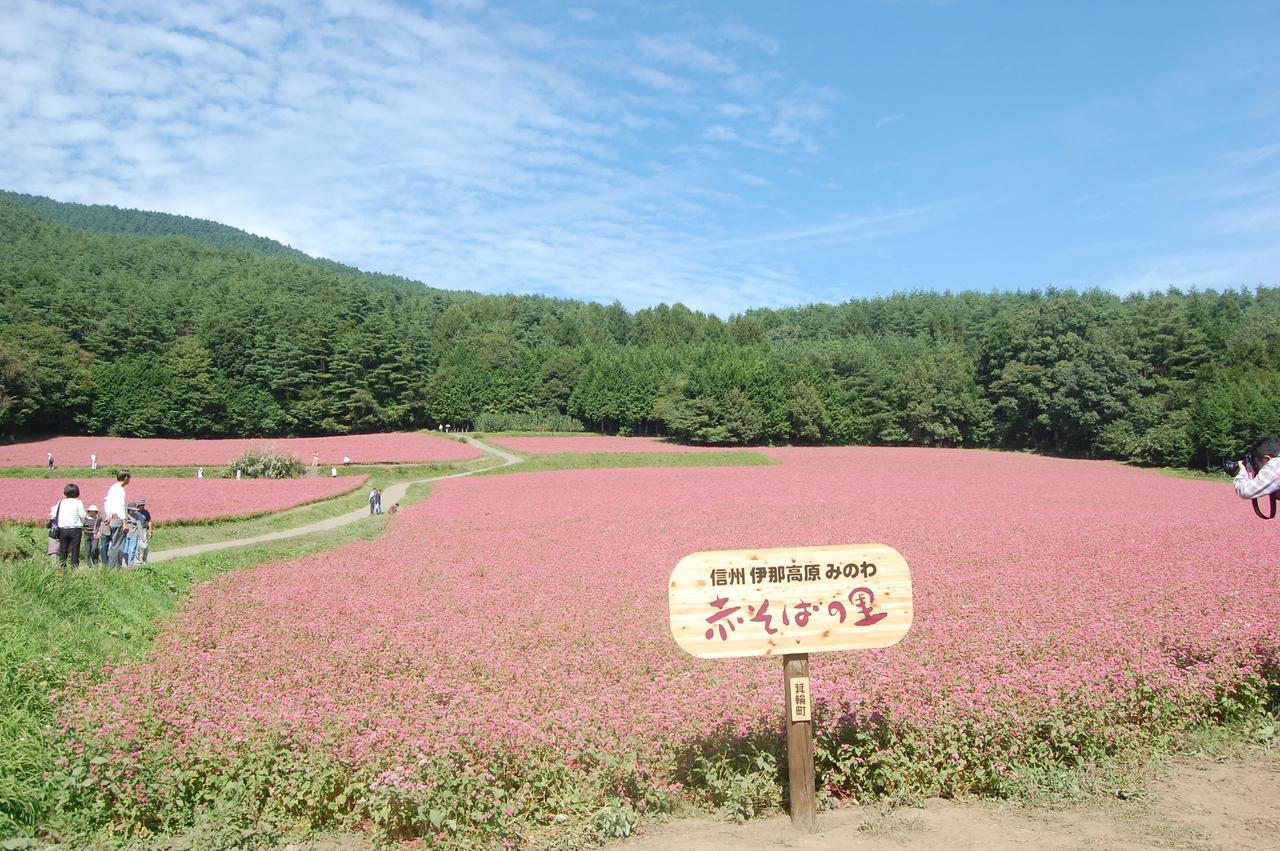 安宿茑屋日式旅馆 木曾町 外观 照片
